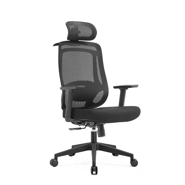 Yurena High Back Ergonomic Office Chair