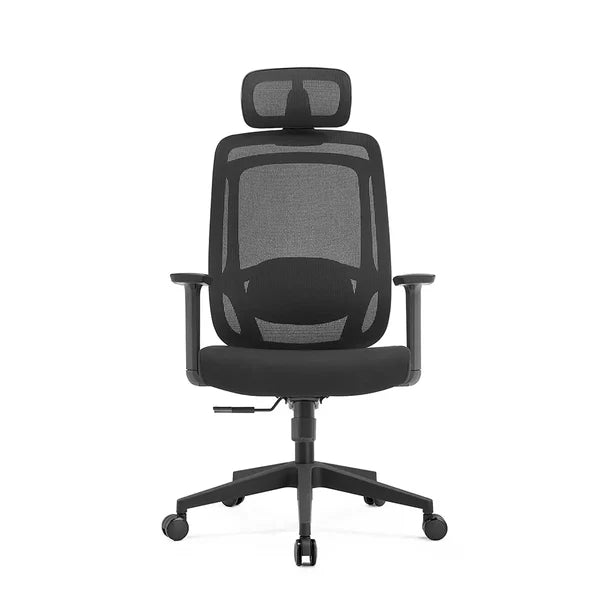 Yurena High Back Ergonomic Office Chair