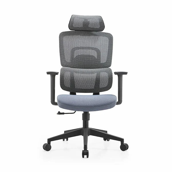 Avayah High Back Ergonomic Office Chair