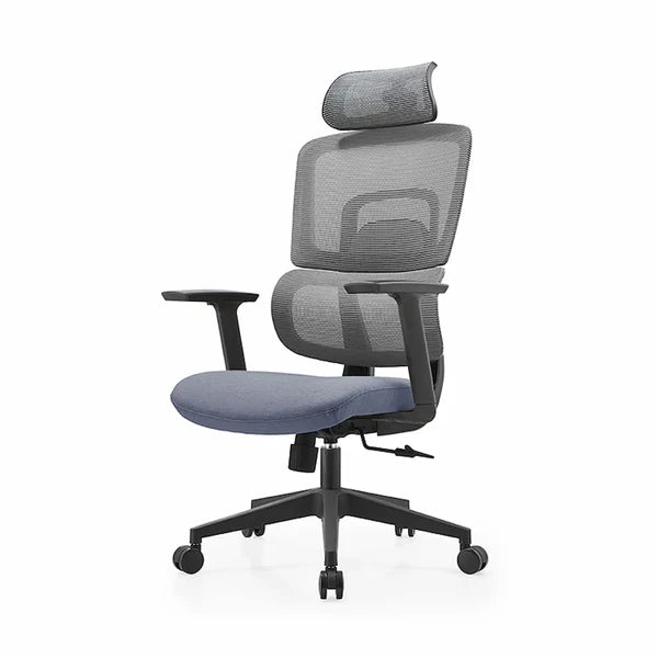 Avayah High Back Ergonomic Office Chair