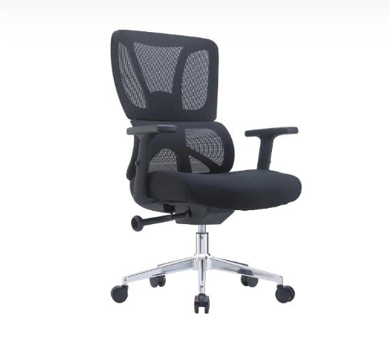 Alodius Office Chair