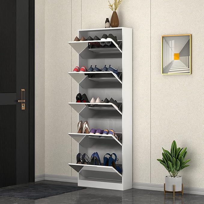 Amy 5 Door Mirror Shoe Cabinet