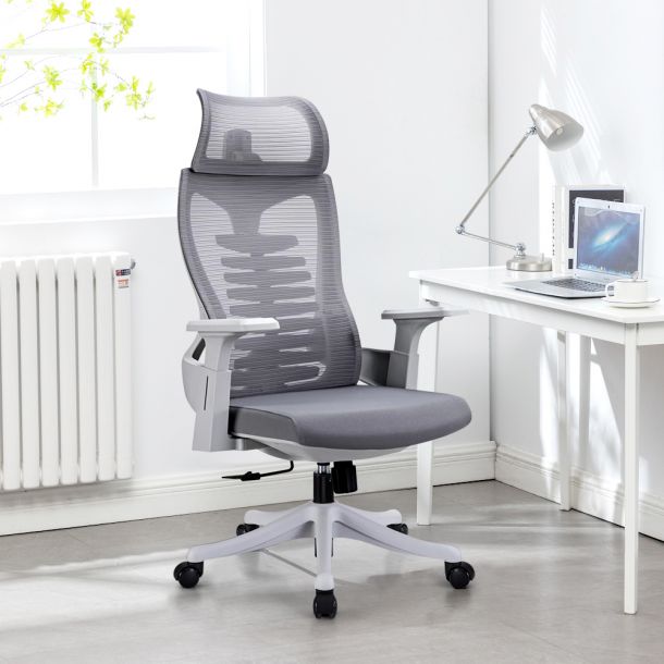 Alamilla Office Chair